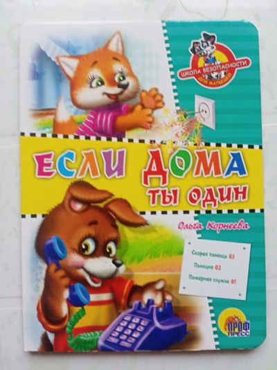 Лот: 21088745. Фото: 1. Книга "Если дома ты один". Художественная для детей