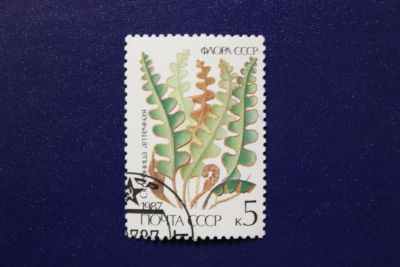 Лот: 6855881. Фото: 1. Почтовая марка №4063 в коллекцию. Марки