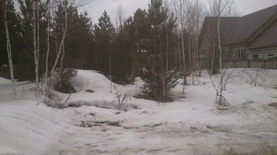 Лот: 11335856. Фото: 1. Участок село Еловое. Земельные участки