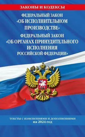Лот: 21513503. Фото: 1. Федеральный закон " Об исполнительном... Другое (справочная литература)