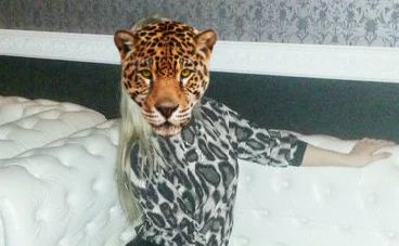 Лот: 5510597. Фото: 1. Кофта леопардовая. Свитеры, толстовки, худи