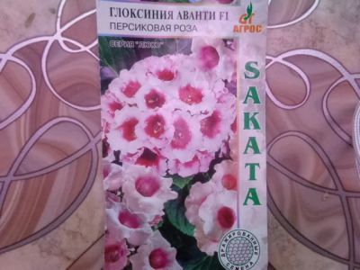 Лот: 3438625. Фото: 1. Семена глоксинии. Горшечные растения и комнатные цветы