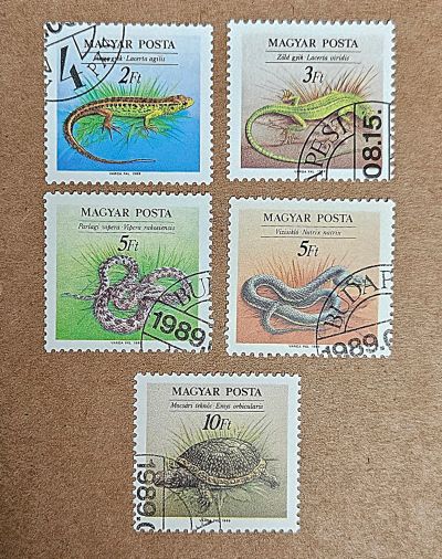 Лот: 25579424. Фото: 1. Марки: Венгрия. 1988. Рептилии... Марки