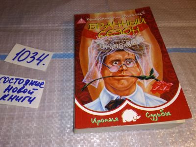 Лот: 16940214. Фото: 1. оз..(16..014) Николаев Константин... Художественная