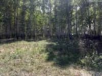 Лот: 3796653. Фото: 1. ДАЧА!!!ОБМЕН НА АВТО!!!. Земельные участки