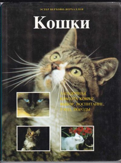 Лот: 23439190. Фото: 1. Кошки: выбор, уход, обучение... Домашние животные