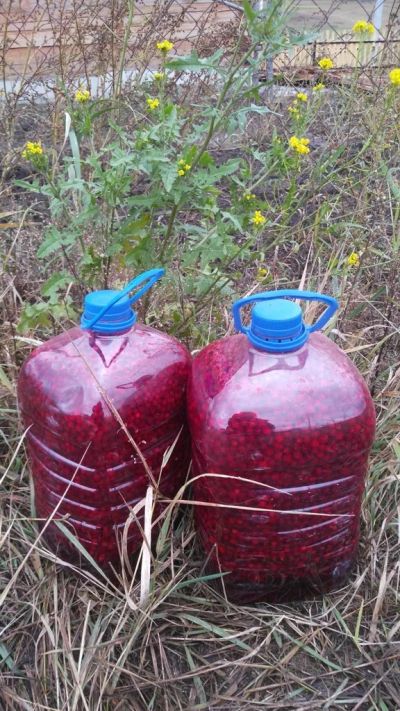 Лот: 10401321. Фото: 1. Брусника залитая родниковой водой... Ягоды, орехи