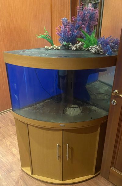 Лот: 20853530. Фото: 1. Аквариум с тумбой Juwel Trigon... Аквариумы, террариумы