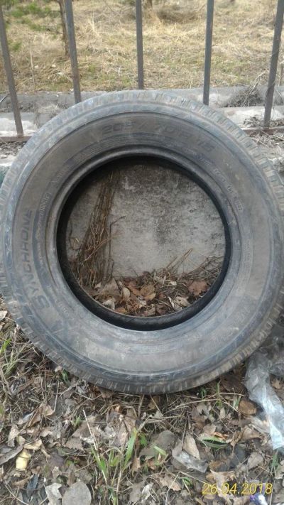 Лот: 11420216. Фото: 1. Шины (покрышки). Шины