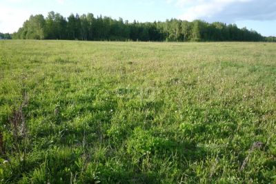 Лот: 25292758. Фото: 1. участок , ,. продажа. Земельные участки