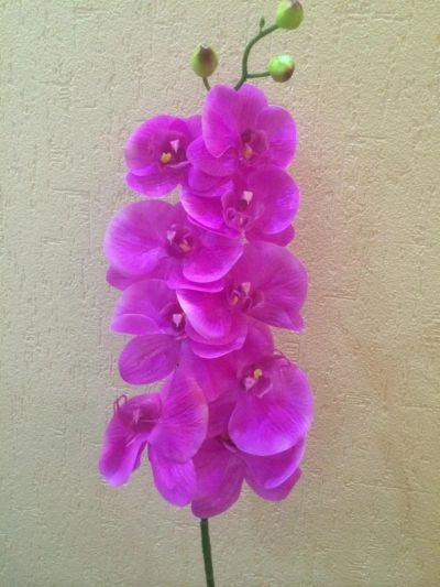 Лот: 11024072. Фото: 1. Ветка орхидеи из силикона цвета... Искусственные и сувенирные цветы