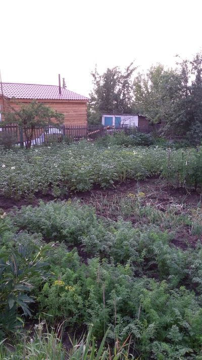 Лот: 11863163. Фото: 1. дача. Дачи