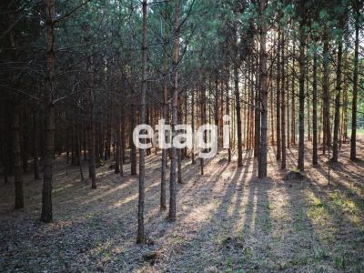 Лот: 25295120. Фото: 1. участок , посёлок городского типа... Земельные участки