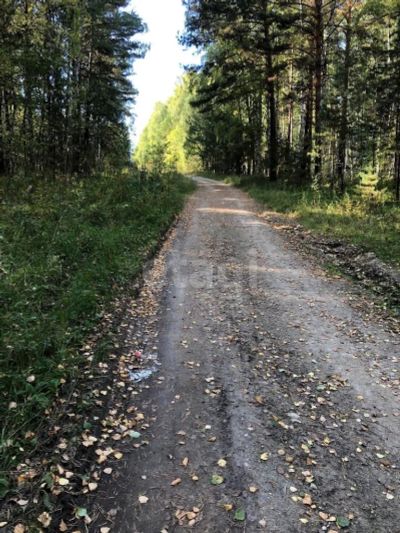 Лот: 25296590. Фото: 1. участок , село Даурское село Даурское... Земельные участки