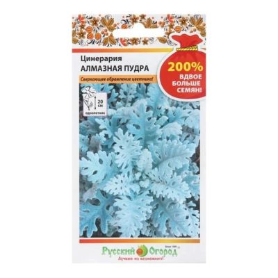 Лот: 24683641. Фото: 1. Семена Цветы, Цинерария, Алмазная... Другое (семена, рассада, садовые растения)