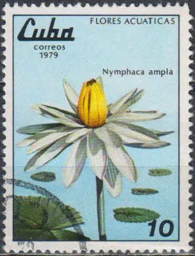 Лот: 25052467. Фото: 1. 1979. Куба. Водные цветы. н.с... Марки