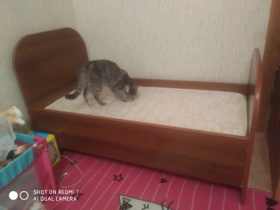 Лот: 17010952. Фото: 1. Детская кровать. Детские кровати и кроватки