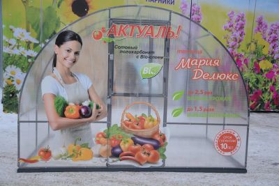 Лот: 3758289. Фото: 1. Каркас теплицы Мария Де Люкс 3Х4. Другое (парники, теплицы)