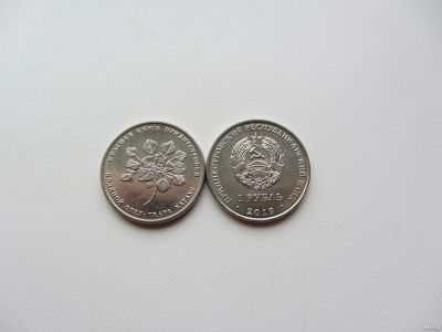 Лот: 14938673. Фото: 1. Приднестровье 1 рубль 2019 " Красная... Европа