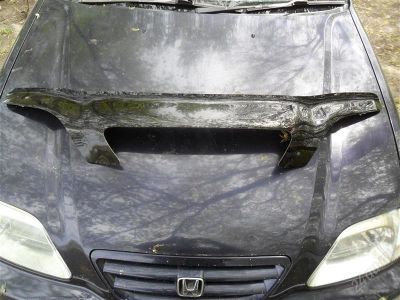 Лот: 1829902. Фото: 1. дифлектор капота (honda orthia... Другое (оснащение, оборудование, аксессуары)