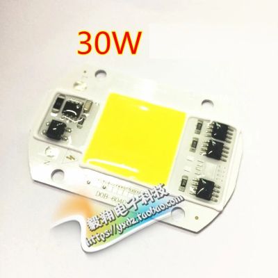 Лот: 10753160. Фото: 1. LED модуль AC220V 30W. Другое (радиодетали  (электронные компоненты))