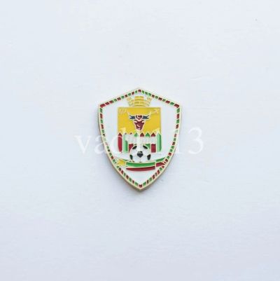 Лот: 11841015. Фото: 1. Футбол ФК Чита Забайкальский край. Сувенирные