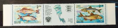 Лот: 21589828. Фото: 1. Россия 2000 Рыбы Чудско-Псковского... Марки