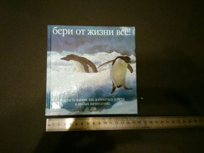 Лот: 9171287. Фото: 1. Книга Бери от жизни всё с картинками... Художественная