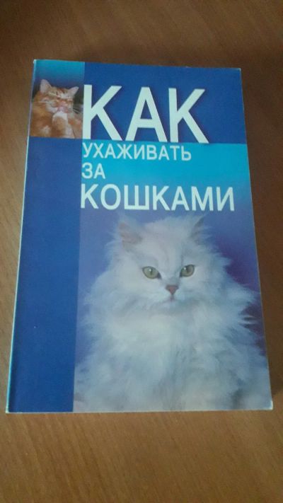 Лот: 19331554. Фото: 1. Книга "Как ухаживать за кошками... Другое (учебники и методическая литература)