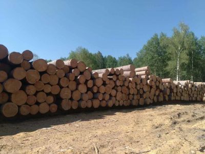 Лот: 9861408. Фото: 1. Лес Круглый КЕДР. Древесина, пиломатериал