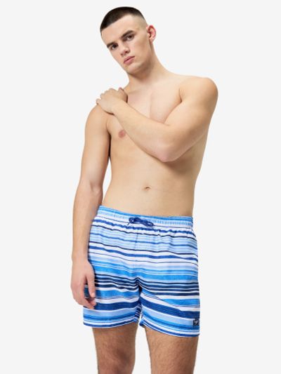 Лот: 24775352. Фото: 1. Шорты плавательные мужские Speedo... Шорты