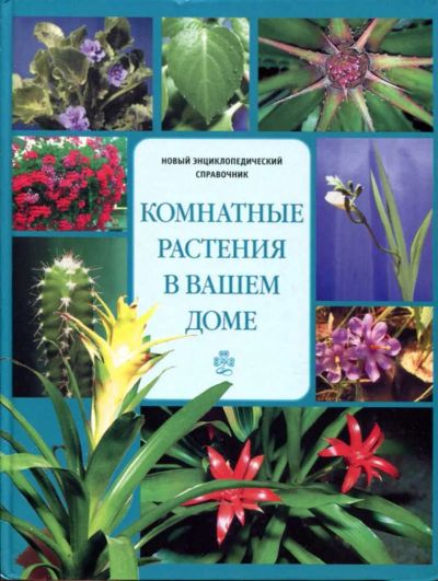 Лот: 23436684. Фото: 1. Комнатные растения в вашем доме. Сад, огород, цветы