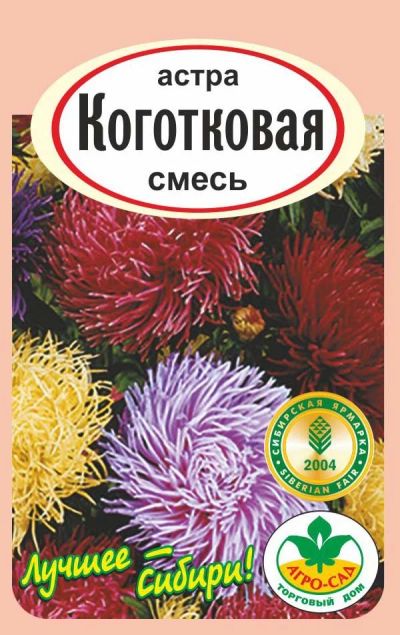 Лот: 12840012. Фото: 1. Семена астры "Коготковая", смесь. Садовые цветы