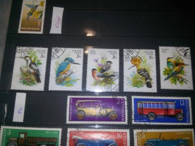 Лот: 6311866. Фото: 1. марки 11. Марки