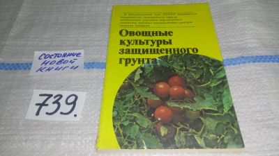 Лот: 11667285. Фото: 1. Овощные культуры защищенного грунта... Сад, огород, цветы