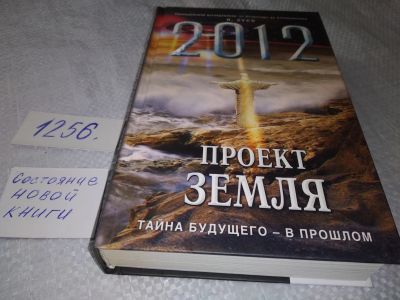 Лот: 18880231. Фото: 1. Зуев Я. 2012: Проект Земля: тайна... Художественная