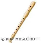 Лот: 796653. Фото: 1. блокфлейта hohner. Духовые