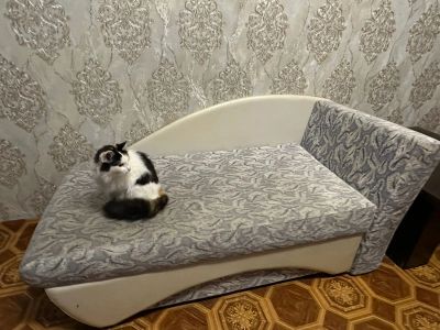 Лот: 20744251. Фото: 1. Диван. Диваны