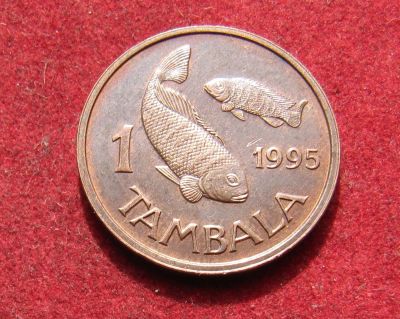 Лот: 20287303. Фото: 1. Малави 1 тамбала, 1995 г. Отличная... Африка