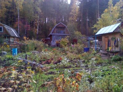 Лот: 2117835. Фото: 1. Дача в Дивногорске. Дачи