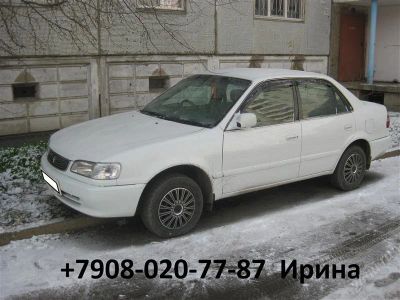 Лот: 1304435. Фото: 1. Toyota Corolla. Автомобили