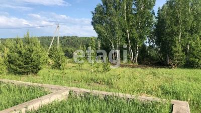 Лот: 25294568. Фото: 1. участок , деревня Мужичкино деревня... Земельные участки