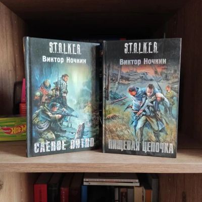 Лот: 23294356. Фото: 1. Книги Сталкер Ночкин Виктор. Художественная