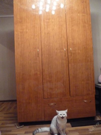 Лот: 3281750. Фото: 1. Шкаф. Шкафы, шкафы-купе