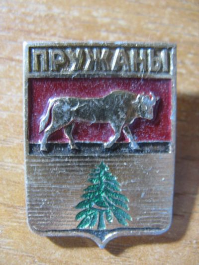 Лот: 14574784. Фото: 1. Значок Герб Пружаны. Сувенирные