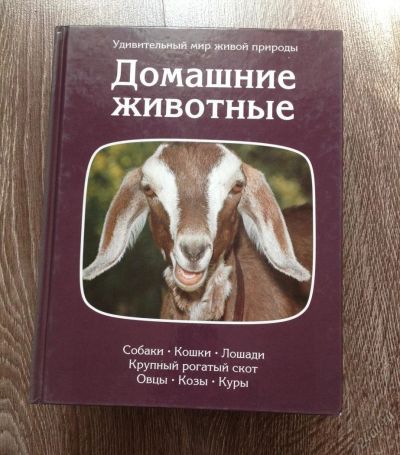 Лот: 5704276. Фото: 1. 4 энциклопедии "Удивительный мир... Биологические науки