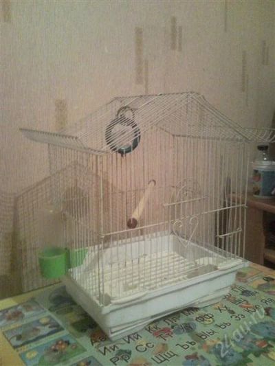 Лот: 2301143. Фото: 1. клетка для птиц 2. Домики, переноски, клетки, когтеточки