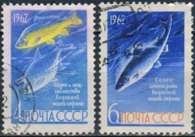 Лот: 25520161. Фото: 1. 1962, 28 августа. Рыбы. Полная... Марки