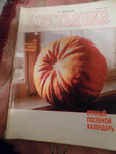 Лот: 8704686. Фото: 1. журнал крестьянка 1995-1. Другое (литература)