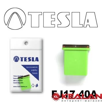 Лот: 8598671. Фото: 1. TESLA FJ17 40A предохранитель... Расходные материалы